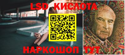стафф Дубна