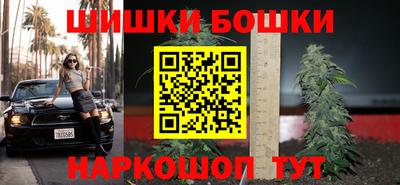 стафф Дубна