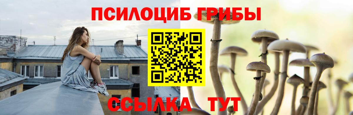 Псилоцибиновые грибы GOLDEN TEACHER  Вход с VPN  Псилоцибиновые грибы мицелий  Нефтеюганск 
